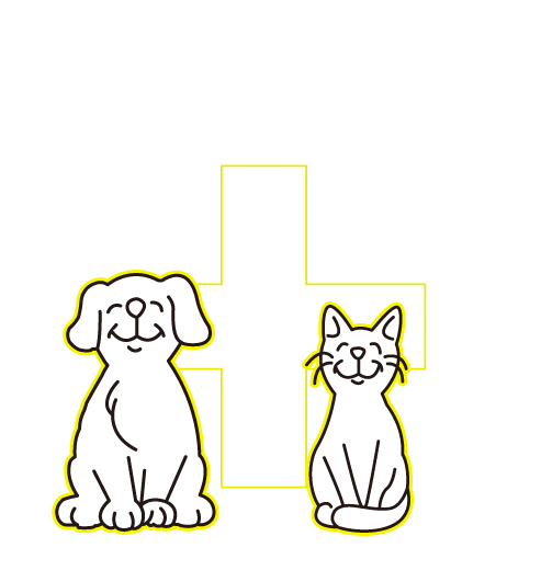 流れる時間を大切に